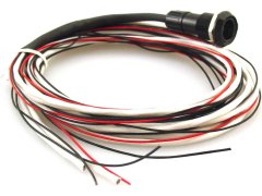 BOSE