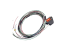 Becker 1K062 AR62XX Wire Harness